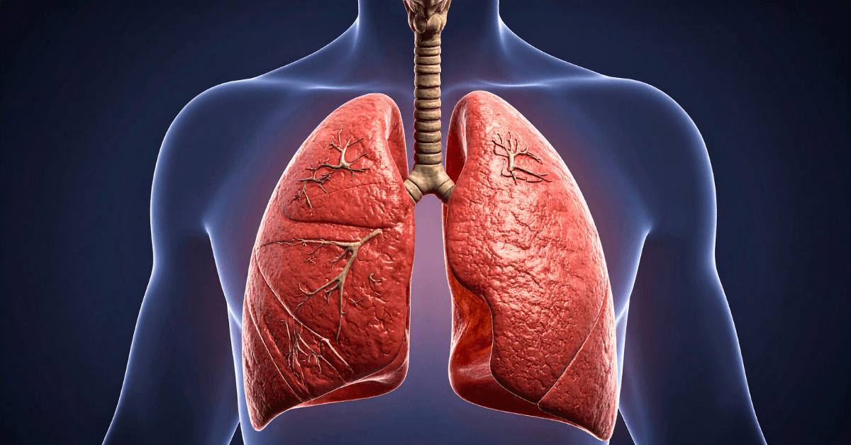 Sleep-Related Hypoventilation. Shallow, inadequate breathing during sleep that lets carbon dioxide build up in the blood, often connected to lung disease, obesity, or neuromuscular conditions. hypoventilation during sleep symptoms, sleep hypoventilation causes, hypoventilation treatment, obesity hypoventilation syndrome, sleep hypoventilation COPD